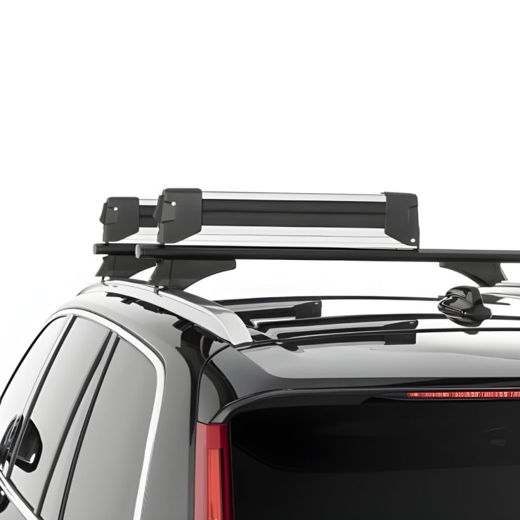 Owen Skid- och snowboardhållare Advanced Svart